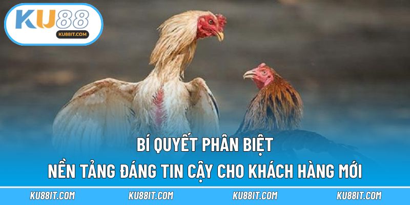 Bí quyết phân biệt nền tảng đáng tin cậy cho khách hàng mới