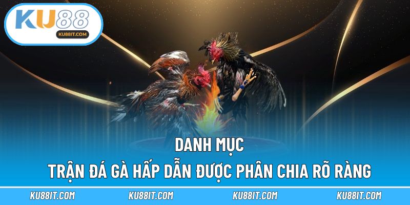 Danh mục trận đá gà hấp dẫn được phân chia rõ ràng