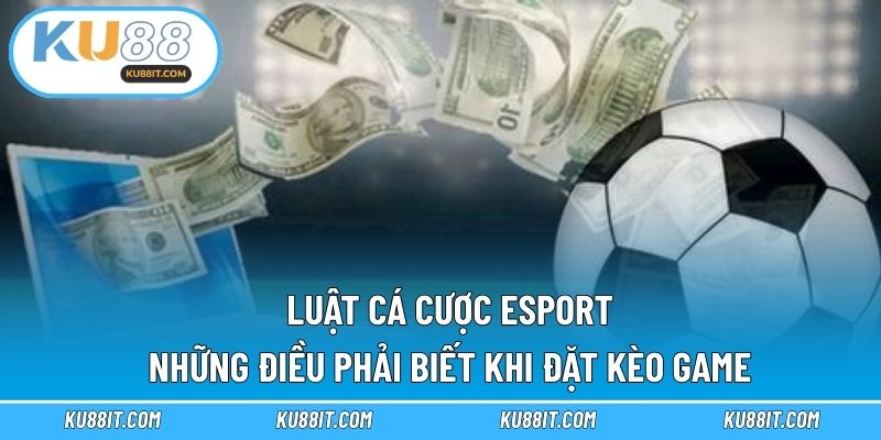 Luật cá cược esport