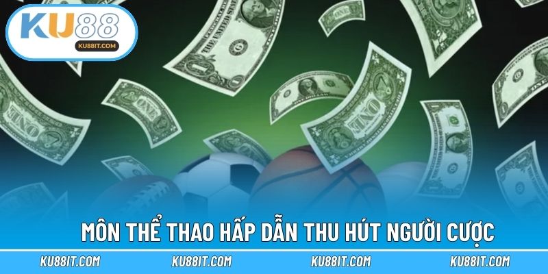 Môn thể thao hấp dẫn thu hút người cược