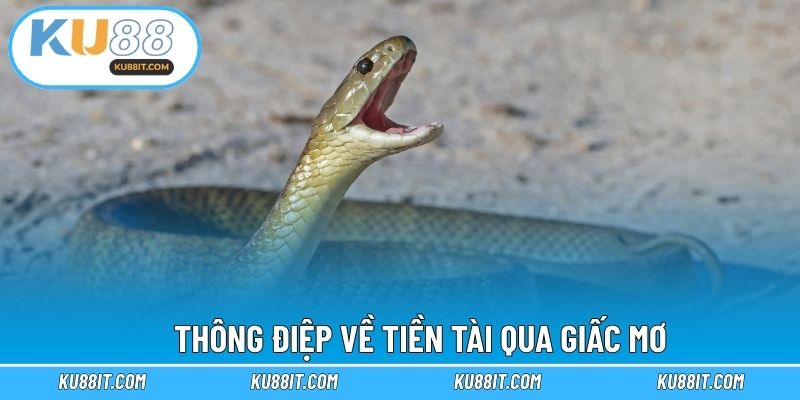 Thông điệp về tiền tài qua giấc mơ